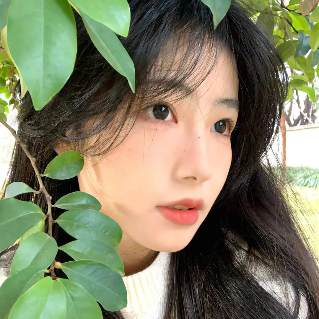 圣女小德兰